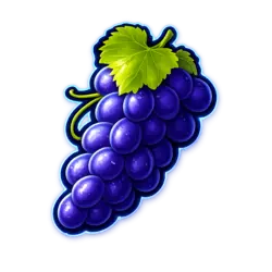 Multi Wild 243 Trauben Symbol