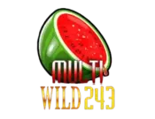 Multi Wild 243 logo