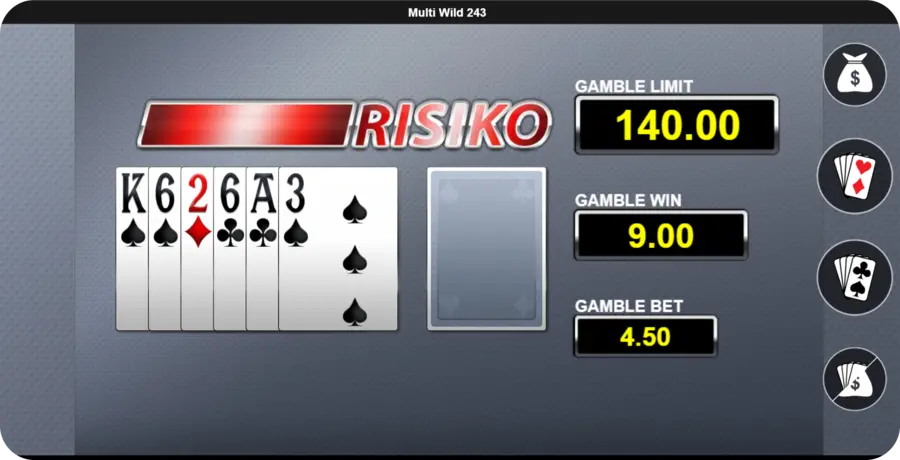 Multi Wild 243 Kartenrisiko