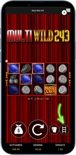 Multi Wild 243 Risiko Leiter Funktion