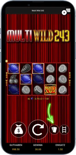 Multi Wild 243 Risiko Spiel Funktion