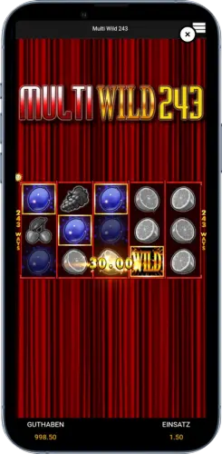 Wild Multiplikator Gewinnscreen mit 30 Euro Auszahlung